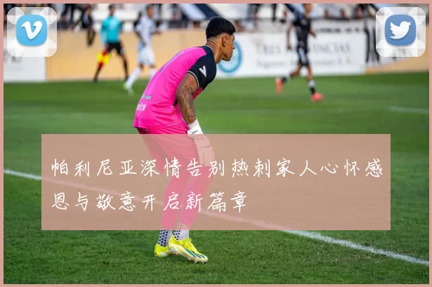 帕利尼亚深情告别热刺家人心怀感恩与敬意开启新篇章