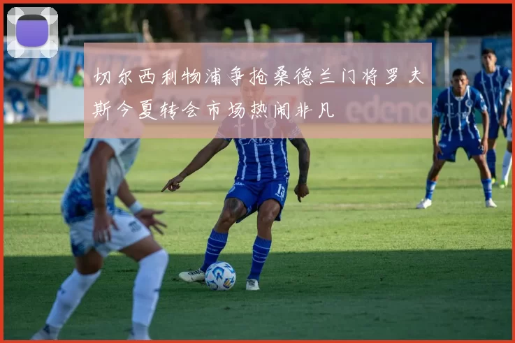 切尔西利物浦争抢桑德兰门将罗夫斯今夏转会市场热闹非凡