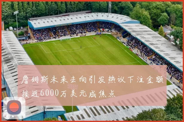 詹姆斯未来去向引发热议下注金额接近6000万美元成焦点